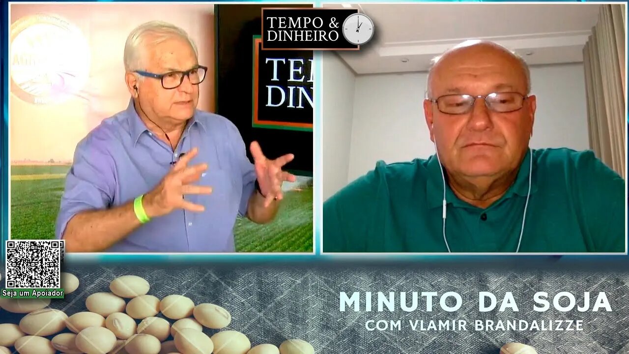 Algodão em momento histórico com apoio do clima e petróleo