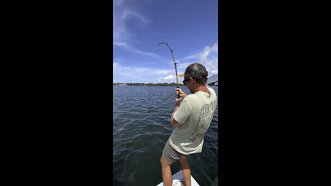 What Shark did he just catch?? #fishing #shark #florida #trend #viral #rumble