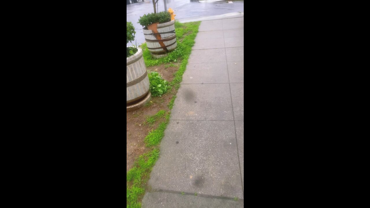 Car Got Hit By Lightening