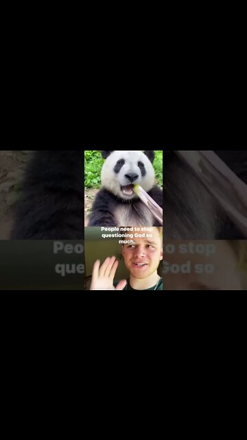 Jesus and a panda GOING IN 😂