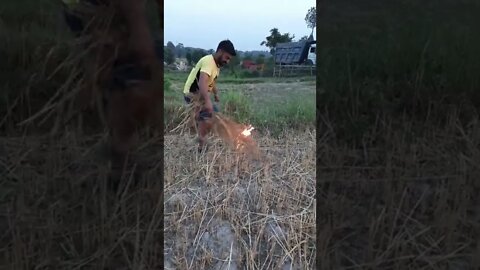 Burning in fields