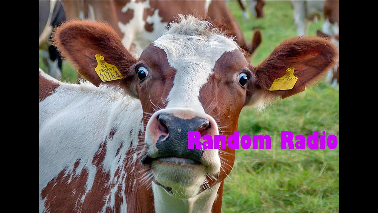 18,000 Cows Burned and Food Shortages Are Coming | Random Things You Need to Know