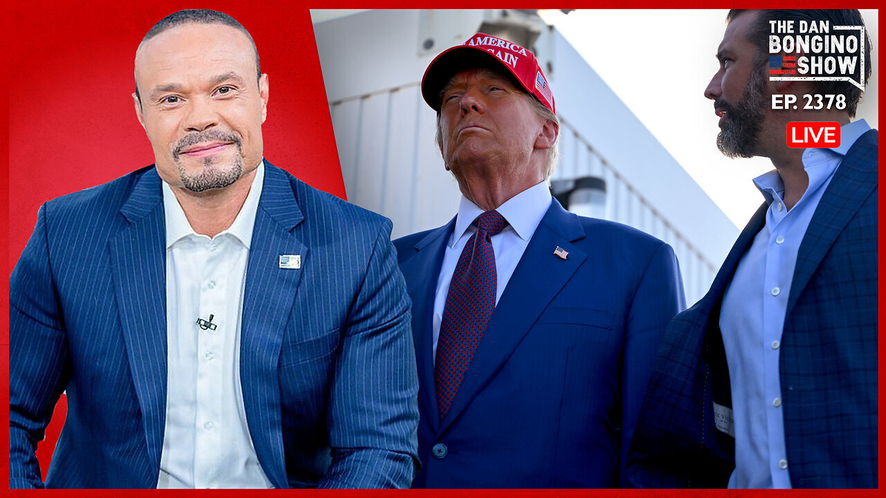 Dan Bongino: "Democrats Enter Full Panic Mode!" (11/26/24)