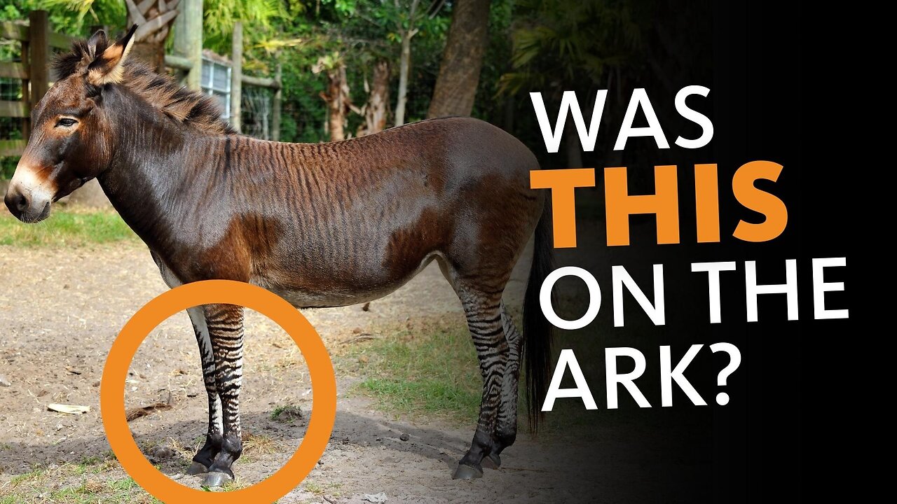 Why Two of Every SPECIES Couldn’t Fit on the Ark