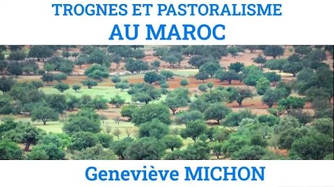 Trognes dans l'agropastoralisme marocain, par Geneviève Michon
