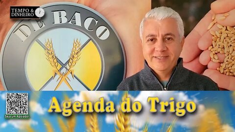 O salto dos preços do trigo, é só especulação?