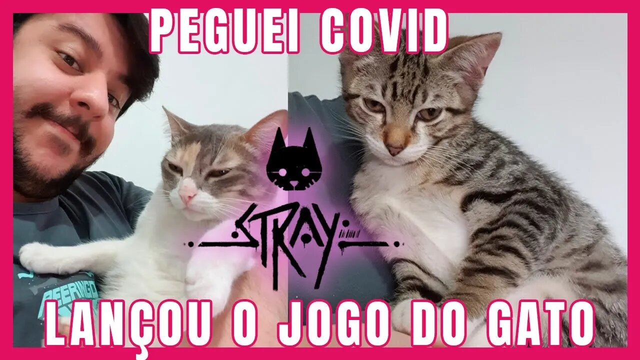 DESCULPAS... VOLTEI! Peguei Covid, LANÇOU STRAY e meus GATOS SÃO FOFOS! - #vlog