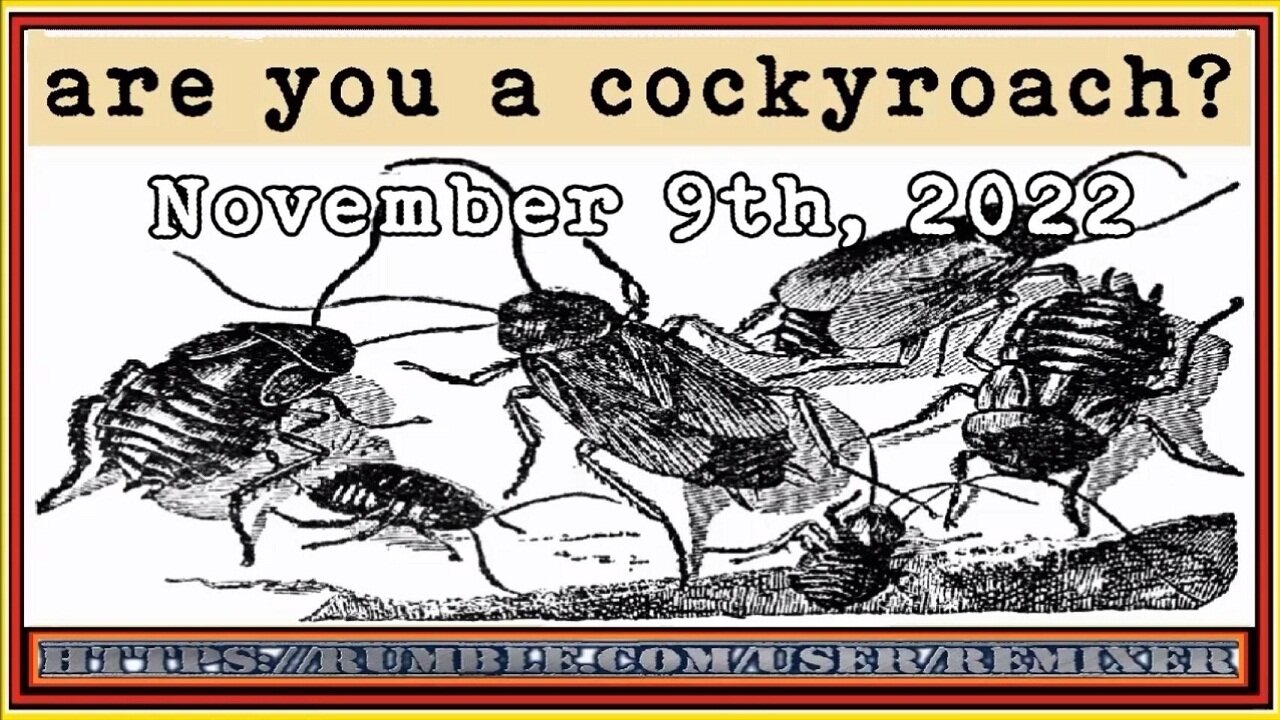 are you a cockyroach?