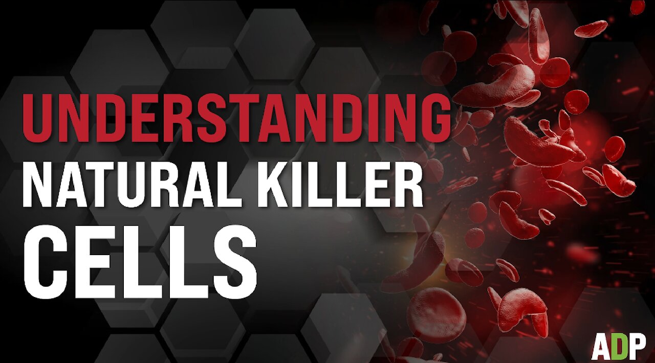 Understanding Natural Killer Cells