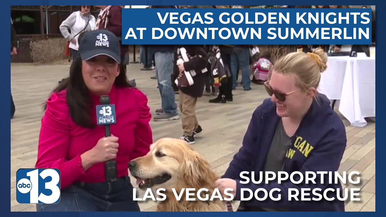 Vegas Golden Knights stars support event for Las Vegas dog rescue