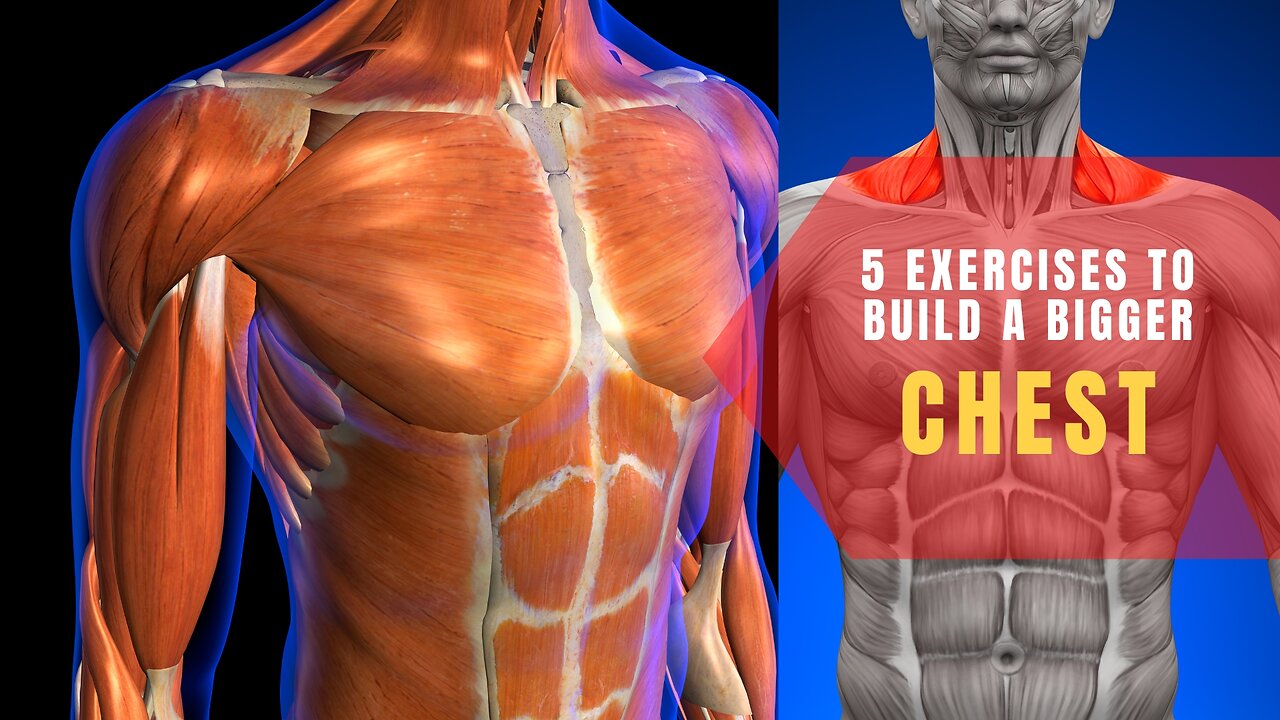 5 Exercises to build your Chest faster