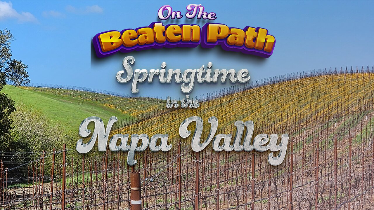 The Best of Wine Lovers and Wine Tasting in the Napa Valley!