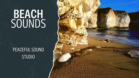 Ocean Sounds Beach Ambience With Relaxing Seagull Asmr | Beach Ambience | Peaceful Sound Studio