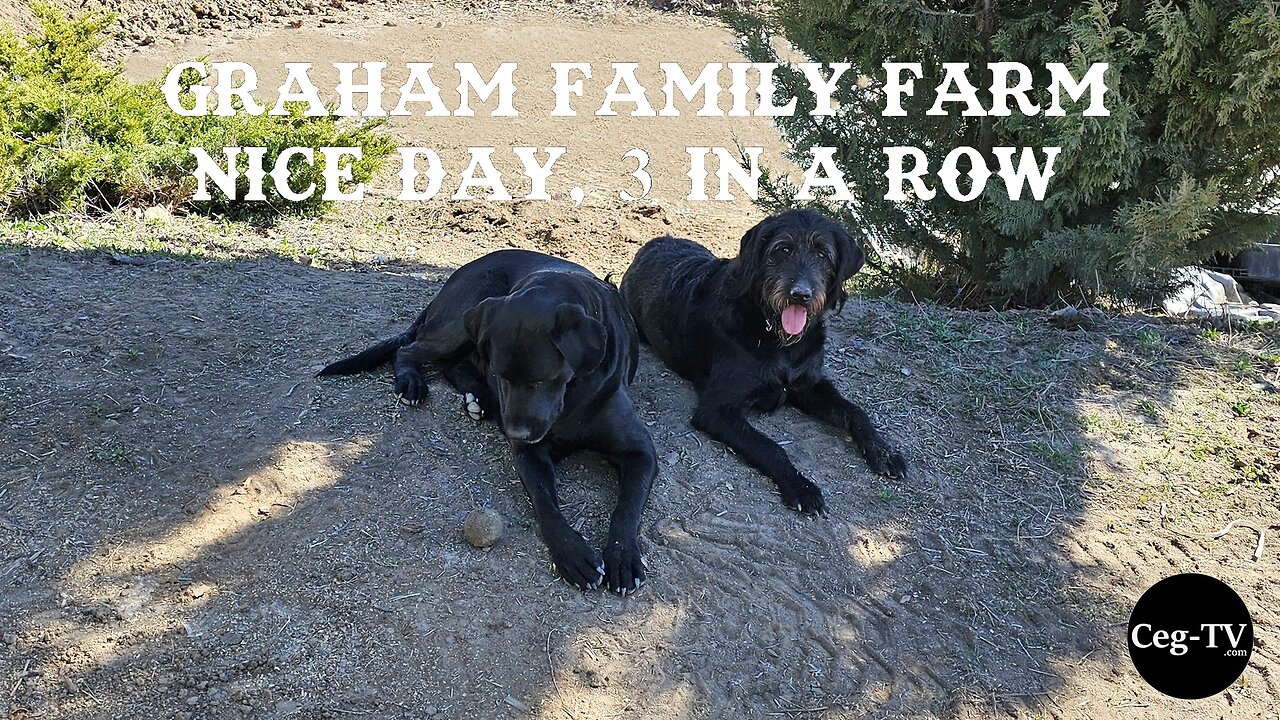 Graham Family Farm: Nice Day, 3 in a Row