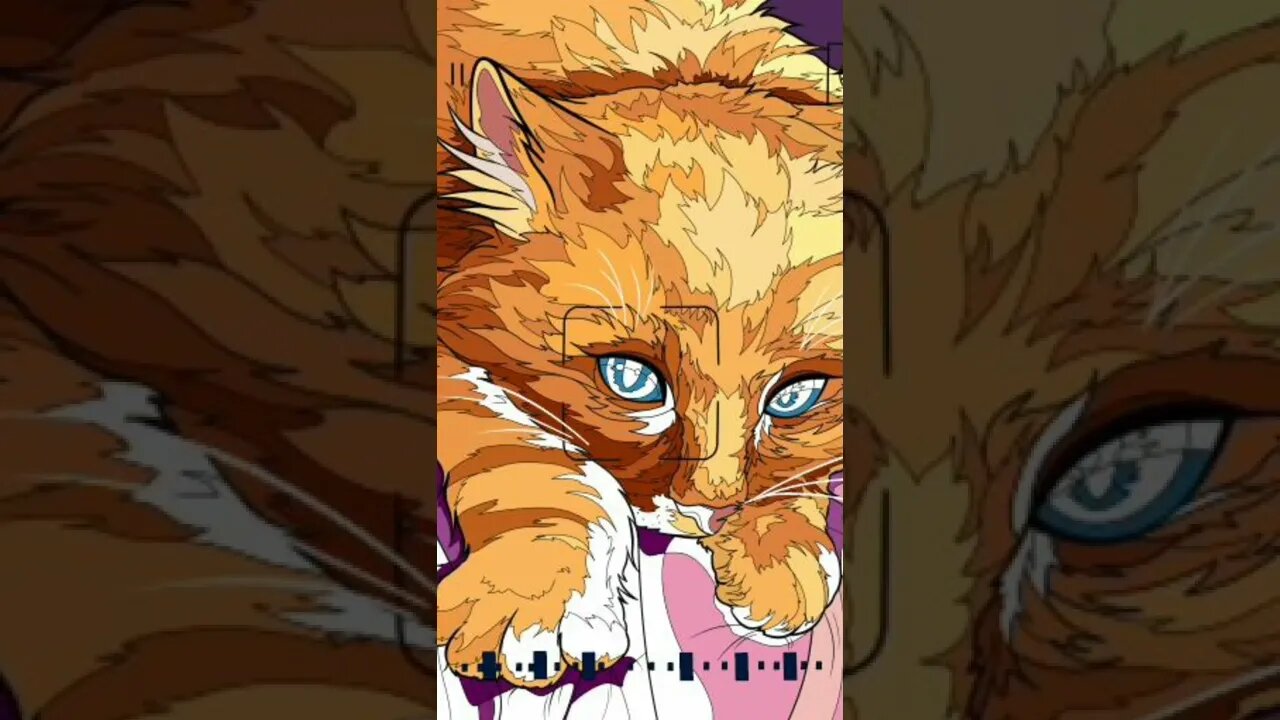 Here is a kitten