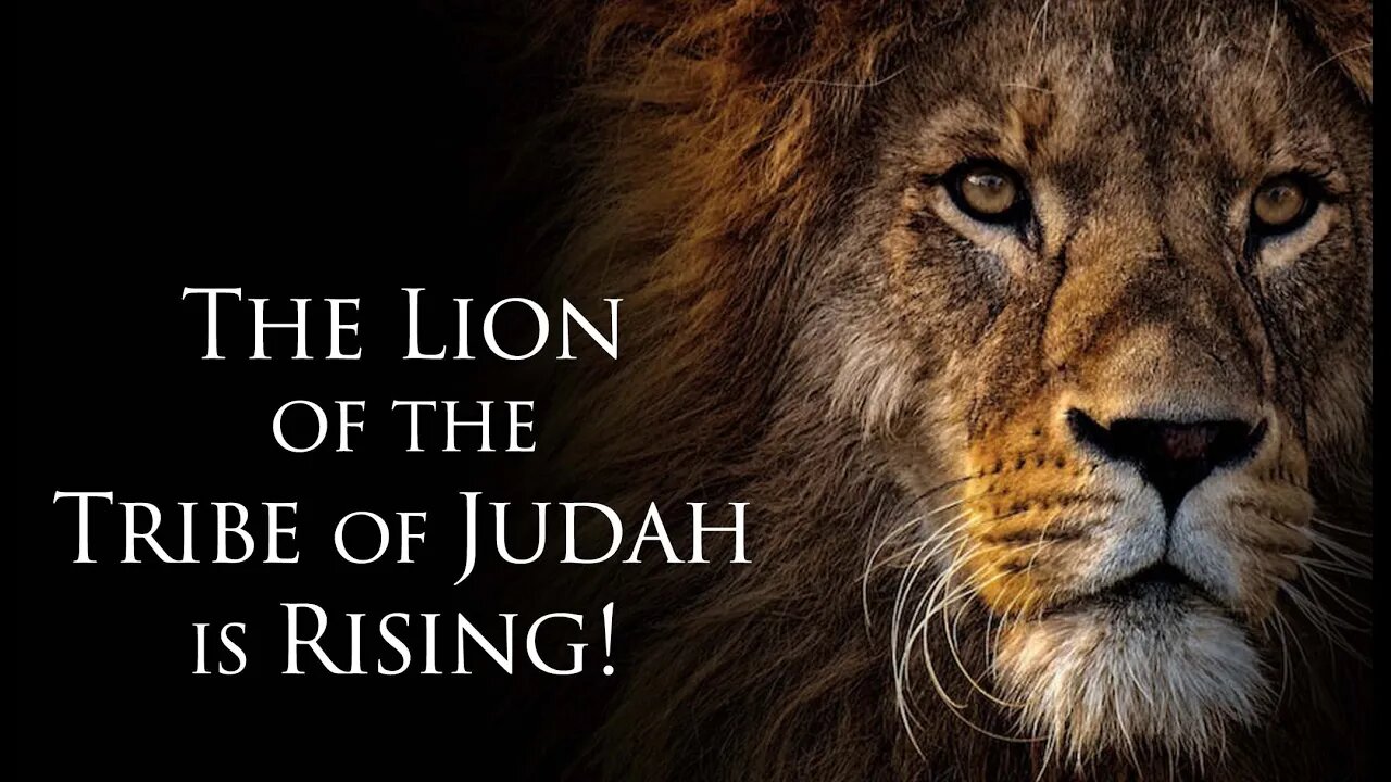 The Lion of the Tribe of Judah is Rising!