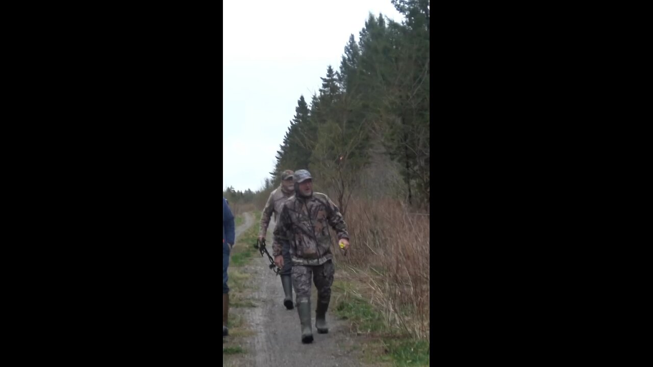 Dad found his bear!