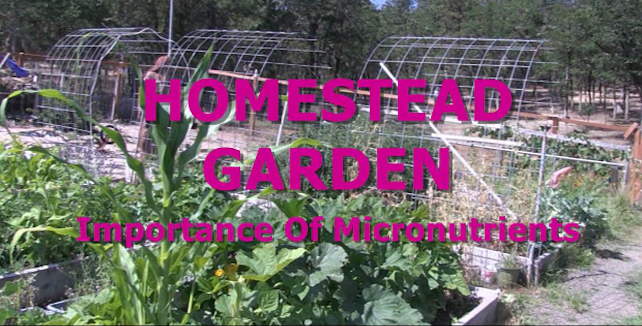HOMESTEAD GARDEN - Importance Of Micronutrients