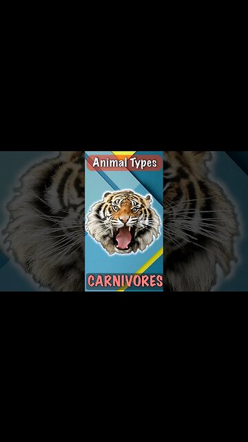 Apex Carnivorous Animals | Top Predators | Tiger #shorts #tiger