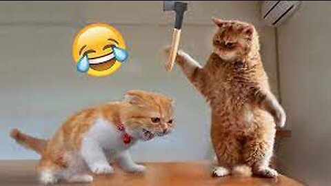 best funniest animal videos 2023🤣 | funny cat videos😹 | funny dogs videos🐶 Ep.2