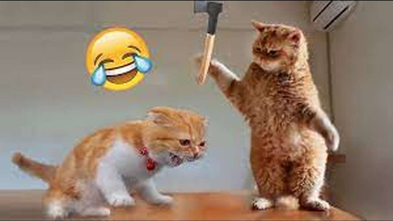 best funniest animal videos 2023🤣 | funny cat videos😹 | funny dogs videos🐶 Ep.2
