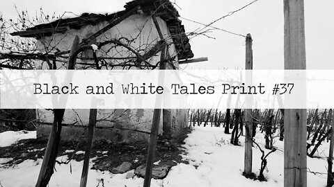 Black and White Tales, Print 37