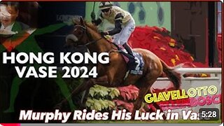 2024 Hong Kong Vase | Giavellotto, Without A Fight, Stellenbosch, Dubai Honour