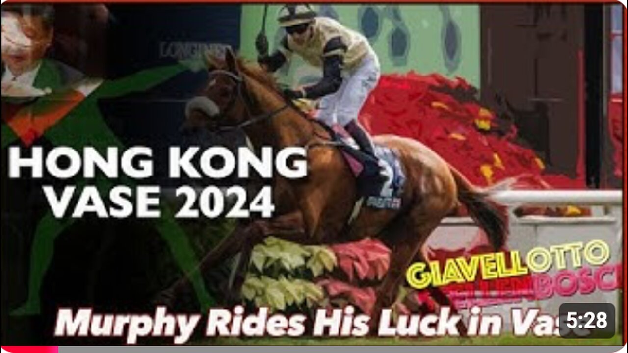 2024 Hong Kong Vase | Giavellotto, Without A Fight, Stellenbosch, Dubai Honour