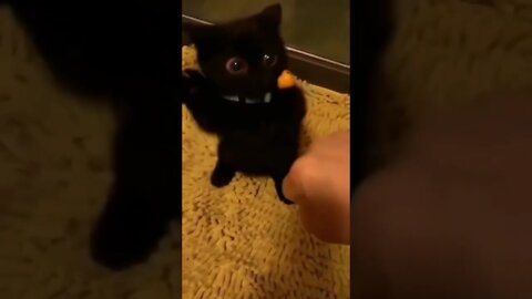 his cute make me happy 🥺❤️ #shorts