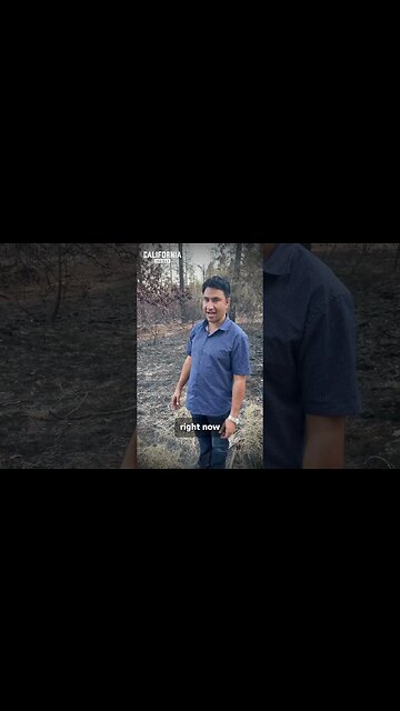 The Result of Inaction To California's Forest #forestmanagement #leavingcalifornia