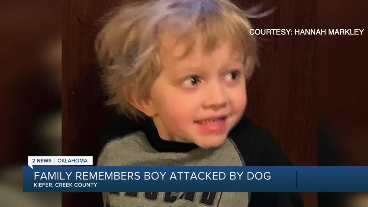 Family Remembers Boy Attacked By Dog