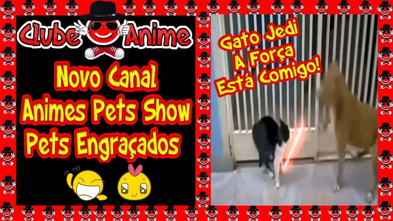 😁😁😄😆😊😄CLUBE DO ANIME GERAÇÃO OURO|GATO JEDI| JEDI CAT| |PETS ENGRAÇADOS|2020😁😁😄😆😊😄