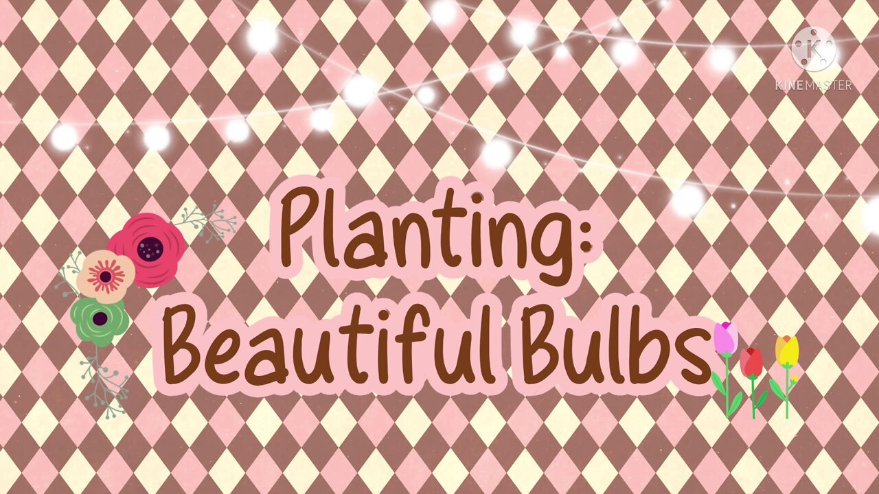 Planting Beautiful Bulbs