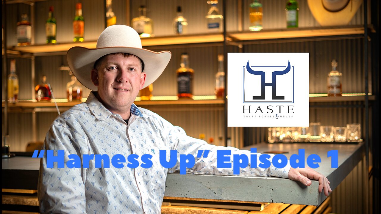 Harness Up ! with Haste Draft Horses and Mules Episode 1 Introduction Podcast