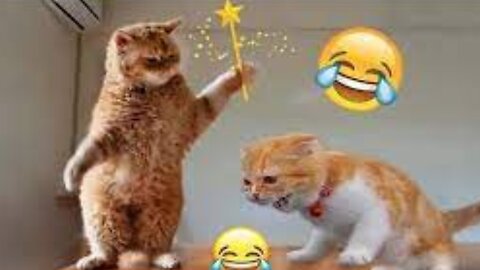 Funniest Animal Videos 2022 😁 - Best Funny Dogs And Cats Videos 🥰#7
