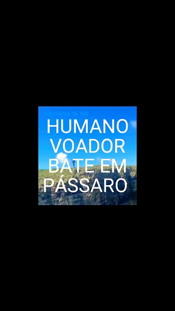 SHORT DAY: HUMANO VOADOR BATE EM PÁSSARO DURANTE O VÔO