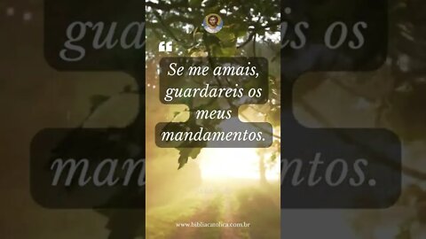 João 14,15 - Se me amais, guardareis os meus mandamentos.