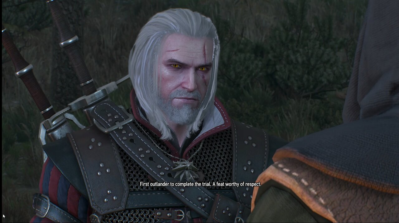 The Witcher 3 the path of warriors part 2