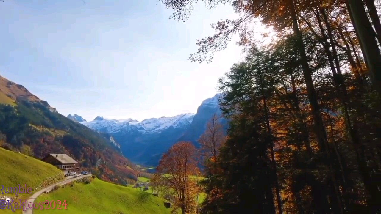 beautiful nature video