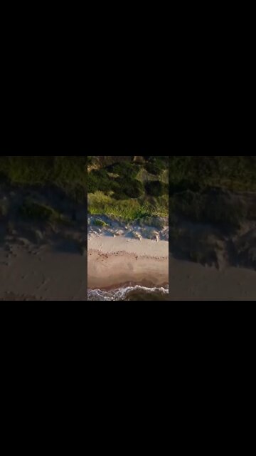 The beauty of the beach