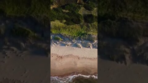 The beauty of the beach