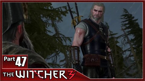 The Witcher 3, Part 47 / Echoes of the Past, Missing Persons, Nameless