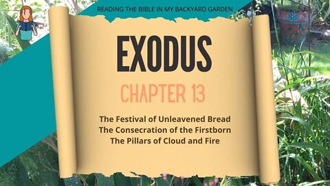 Exodus Chapter 13 | NRSV Bible Reading