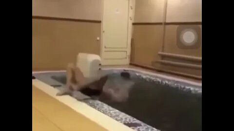 JAMAIS PULE NA PISCINA DESSA FORMA ( MEMES ) ( PULANDO NA PISCINA )