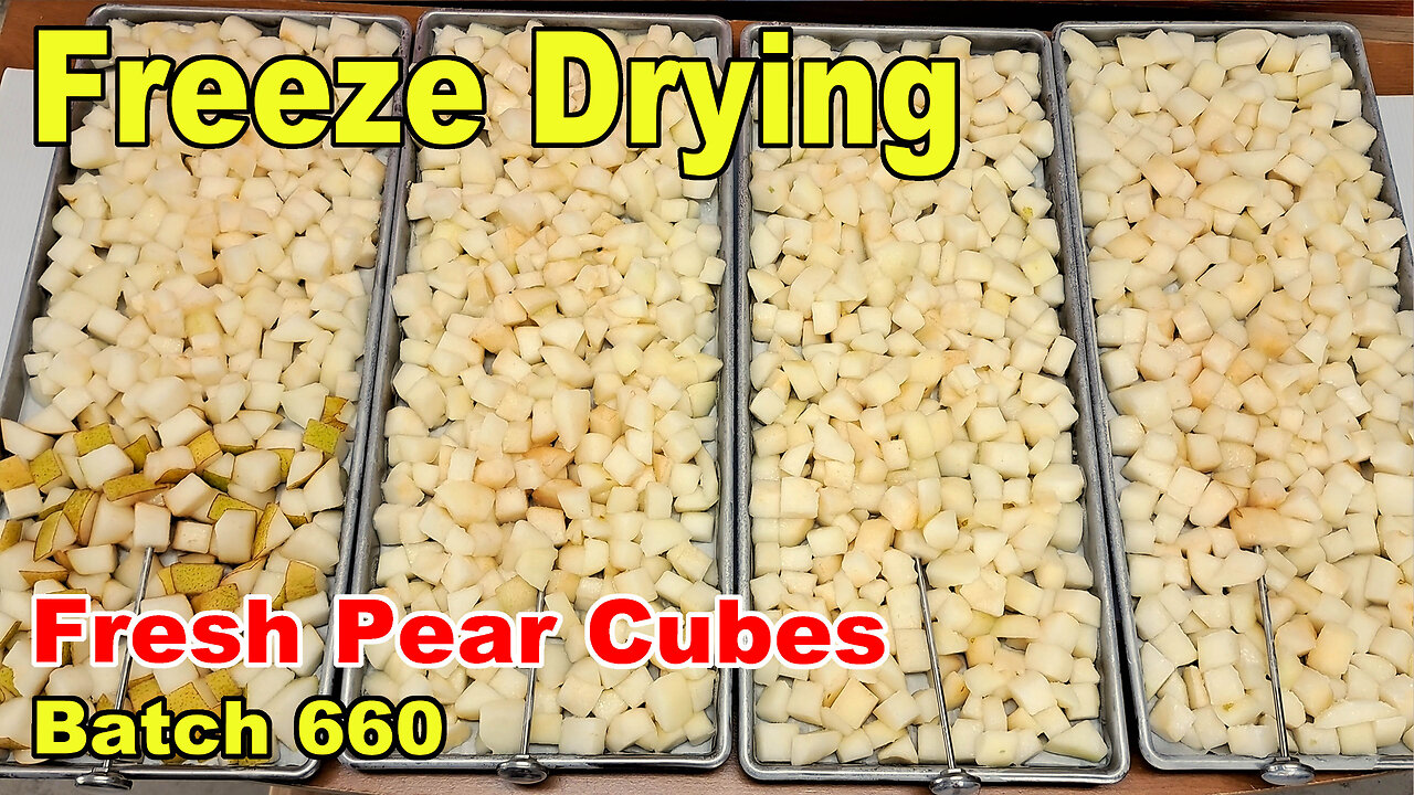 Freeze Drying - Batch 660 - Pear Cubes for a Chocolate Coating Test