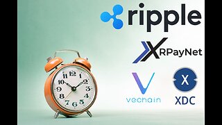 Ripple CTO On Buyback, Vechain, Binance & XRPayNet!