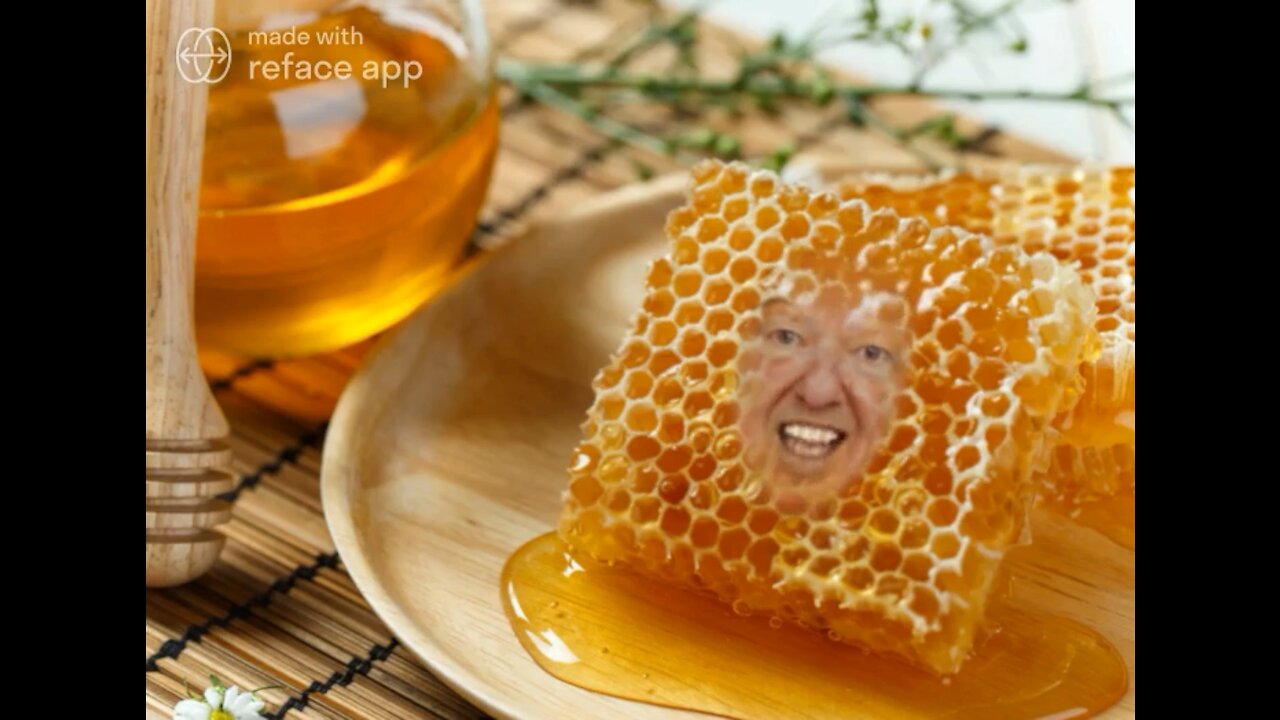 The Ultimate Donald Trump Honeycomb Meme! 🍯