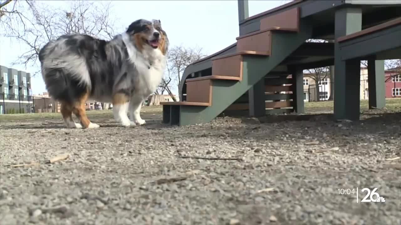 On Broadway, Inc. raising money for new pop-up dog park in Green Bay