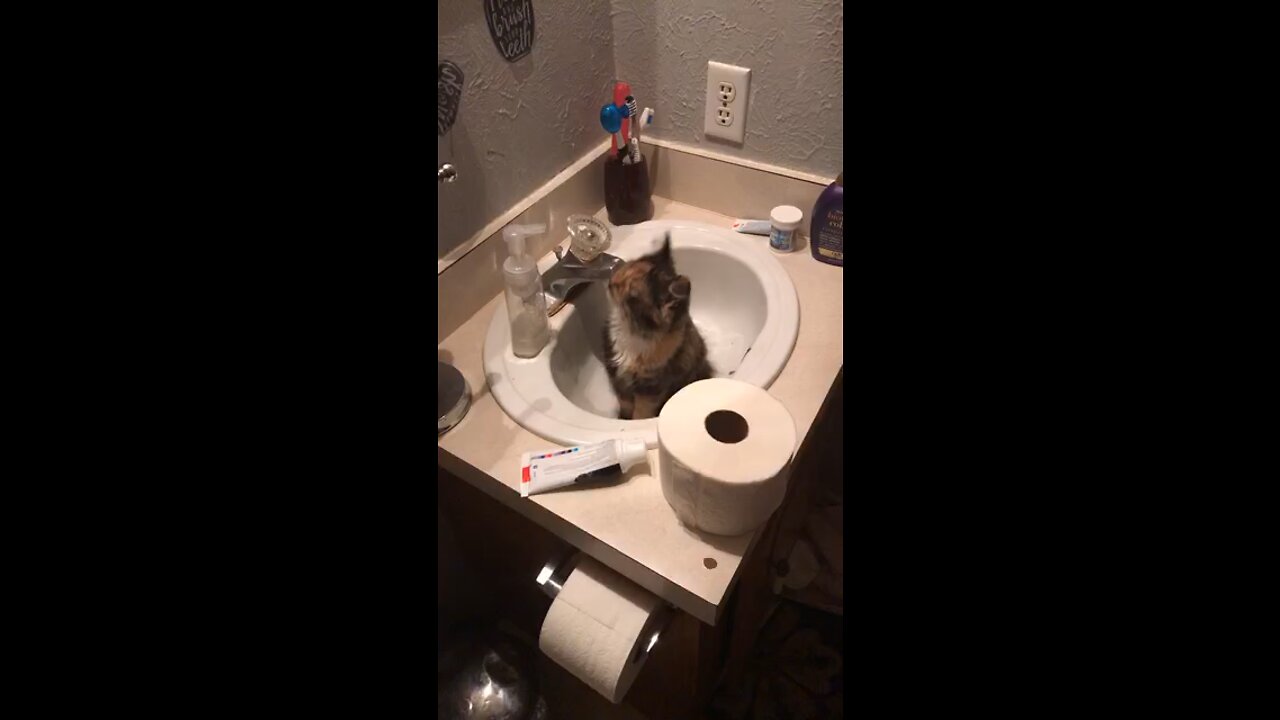 SHE GOT CAUGHT RED HANDED 😹