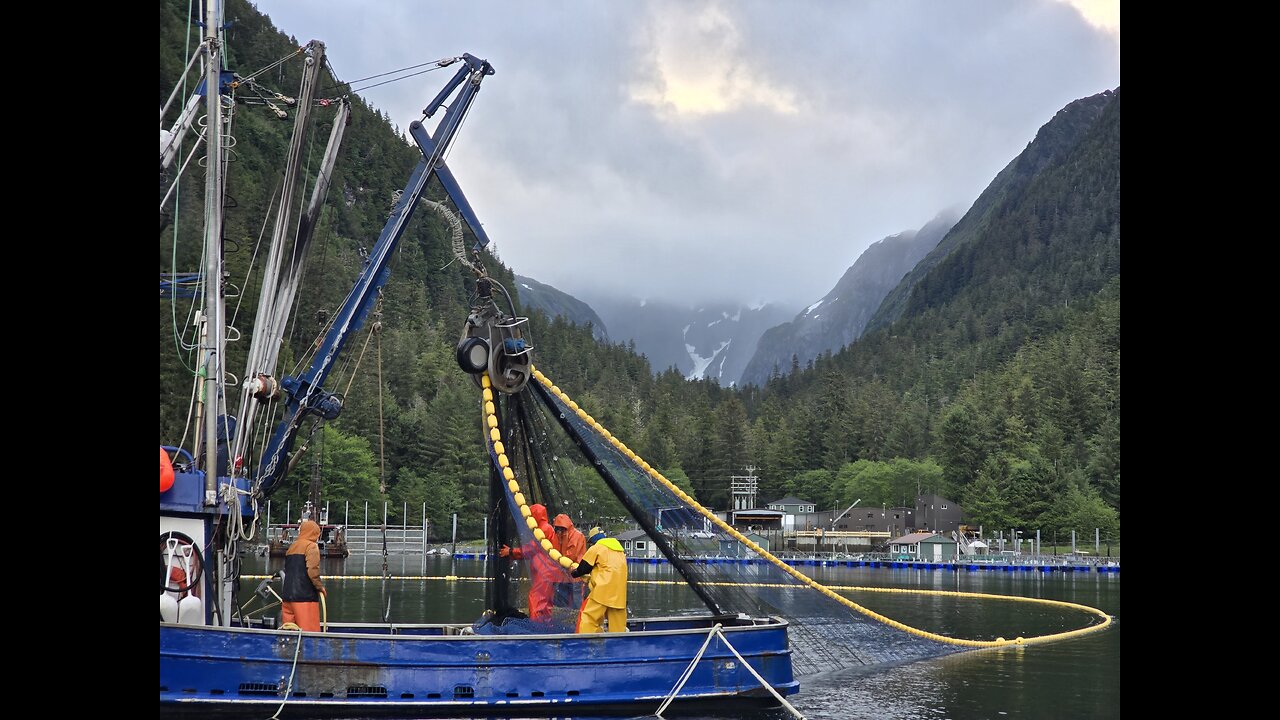 Commercial Salmon Fishing Southeast Alaska